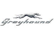 Greyhound coupons