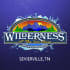 Wilderness At The Smokies coupons